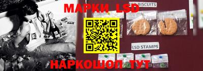 spice Кудрово