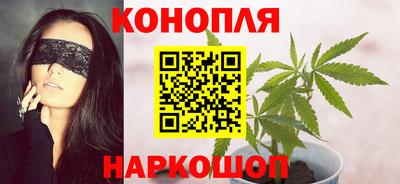 стафф Кузнецк