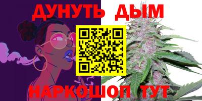 стафф Кузнецк