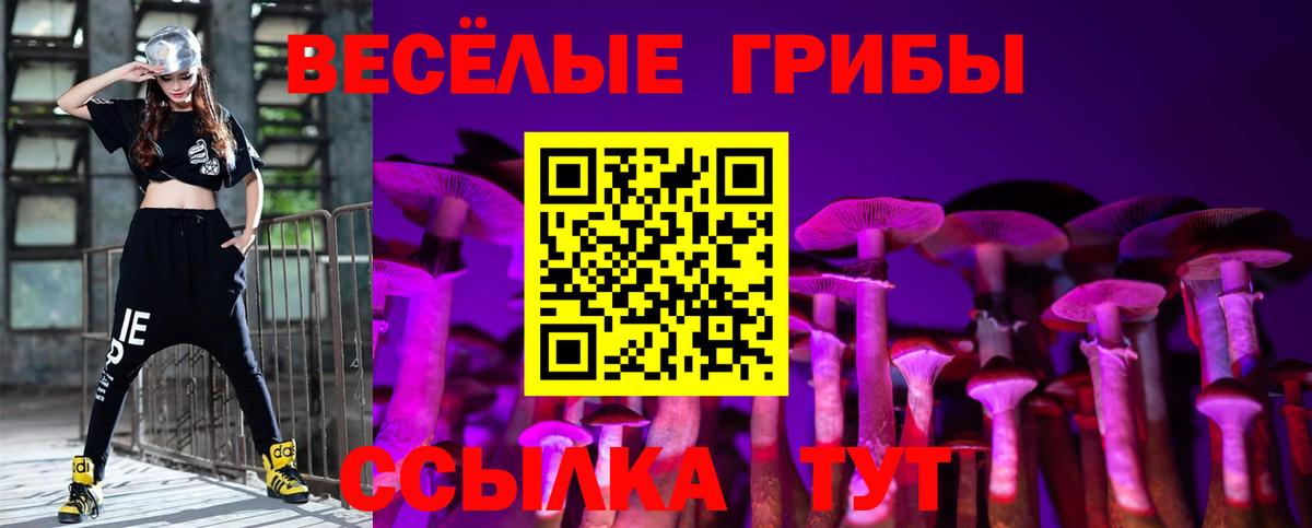 Воронеж  Псилоцибиновые грибы ЛСД  Вход с VPN 