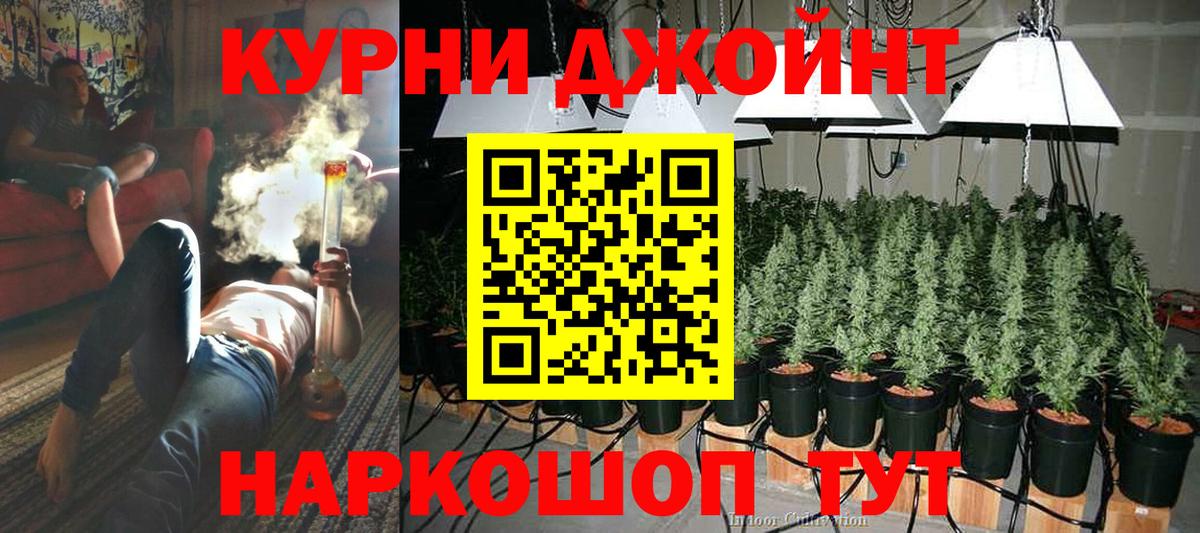 Бошки марихуана сатива  Бошки марихуана конопля  МАРИХУАНА ГИДРОПОН  Воронеж  Бошки Шишки тримм  Вход с VPN 
