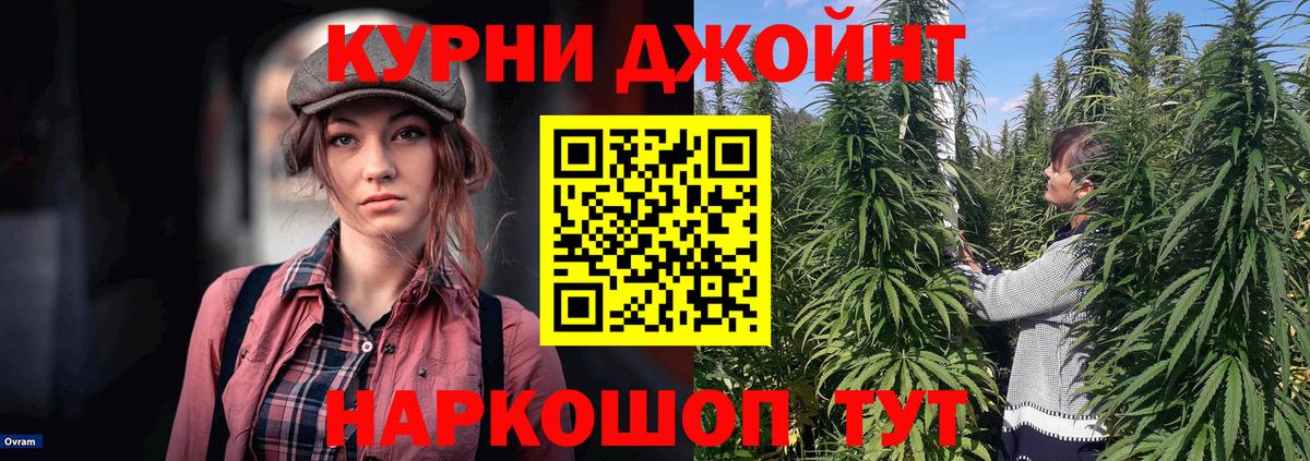 Каннабис конопля Воронеж